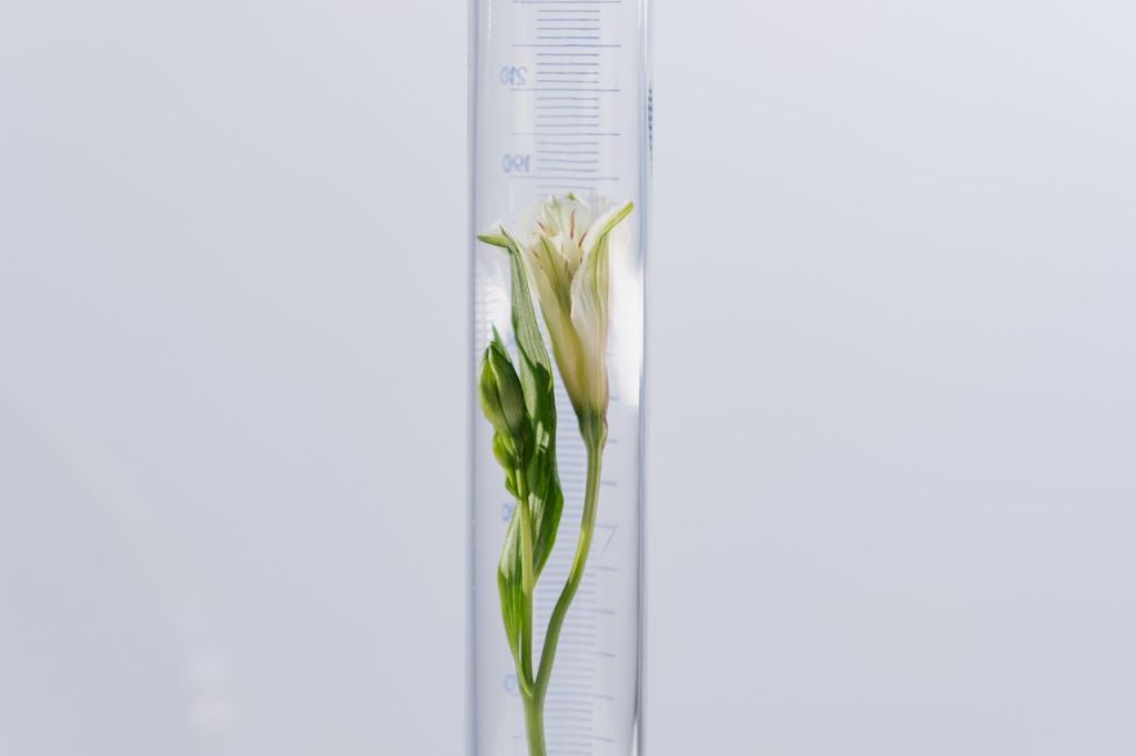 A delicate white flower and stem immersed in a clear volumetric flask against a minimalist white background.